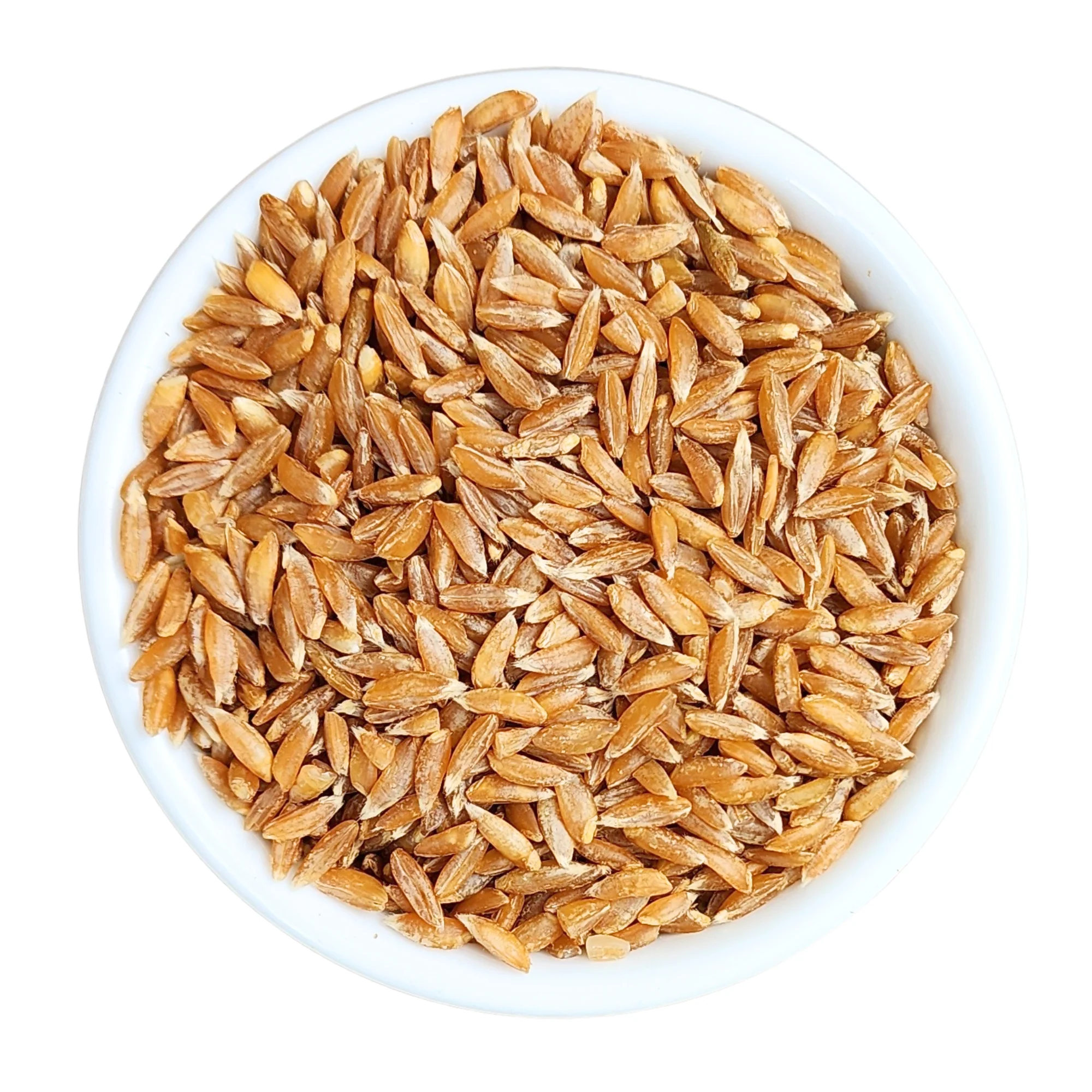 Sorghum