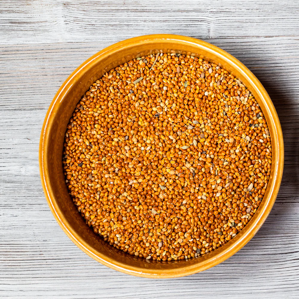 Proso millet